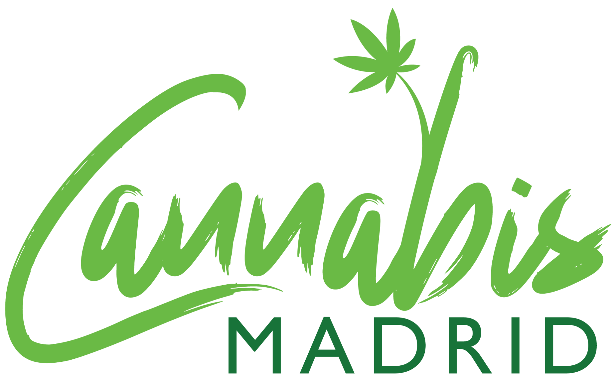 cannabis-clubs-in-madrid-find-a-social-club-near-me